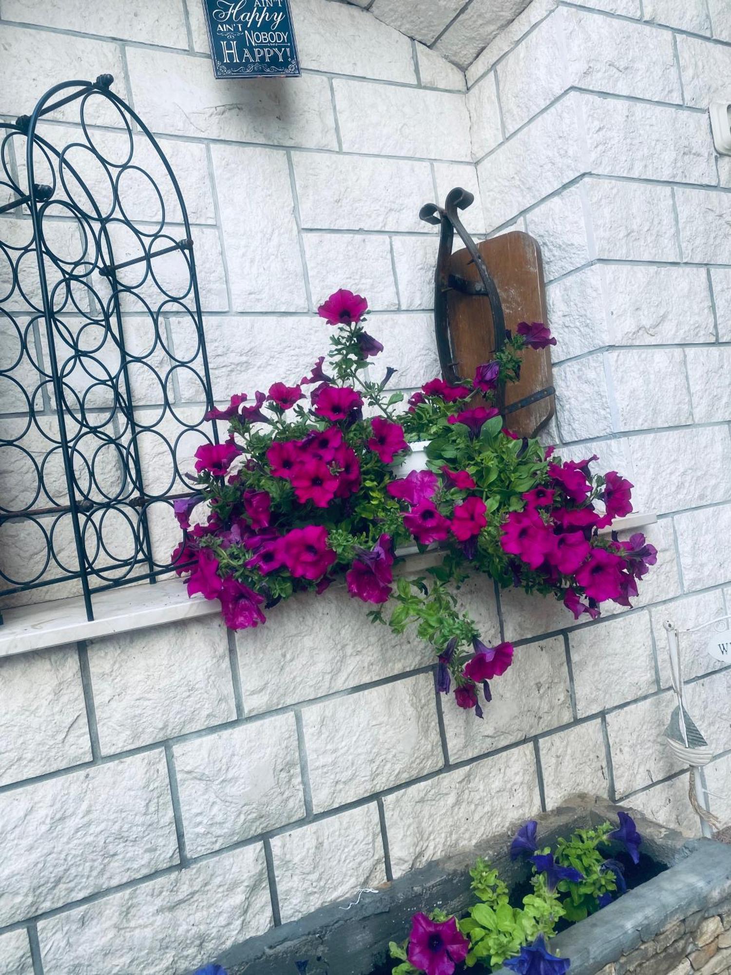 Apartmani Linda โวดีเซ ภายนอก รูปภาพ